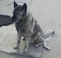 Last pic of Max