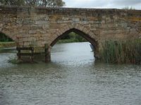 newbridge