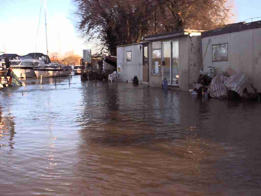 flooded yard 2002-2003